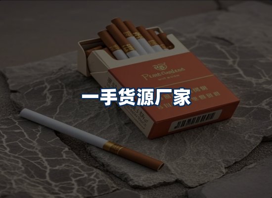 专业团队办公环境
